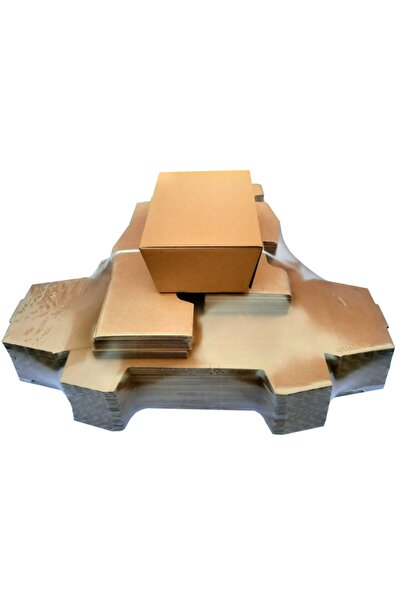 EFEPA Baskısız Hamburger Döner Kutusu 24x17x8 Cm. 100'lü Paket