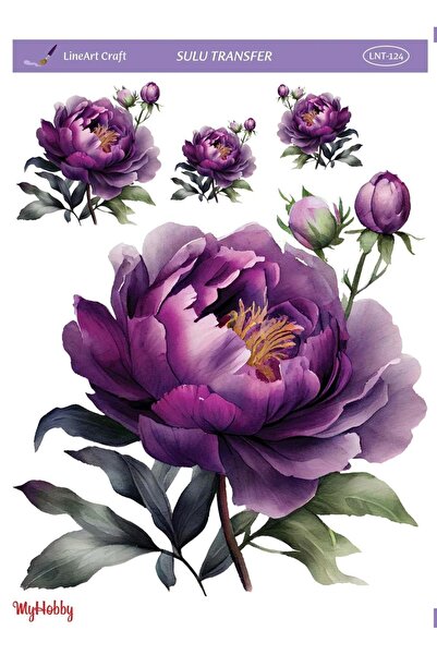 LİNEART Mor Gül, Çiçek Desenli Sulu Transfer LNT-124 25x35