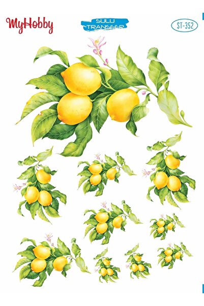 MyHobby Sulu Transfer Kağıdı St-352 25x35cm