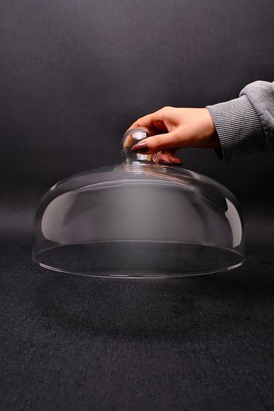 Digithome Glass Cake Lid Fan 26x17 Cm - KP.BLN.001 C1-1-288