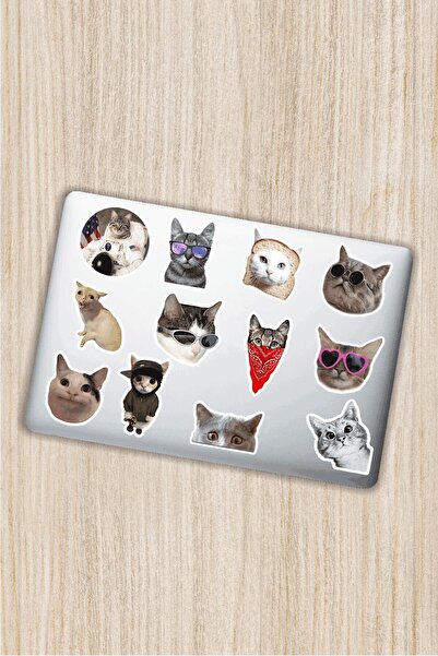 Genel Markalar Kedi Cat Tasarımlı Laptop Notebook Tablet Telefon Sticker Set 20