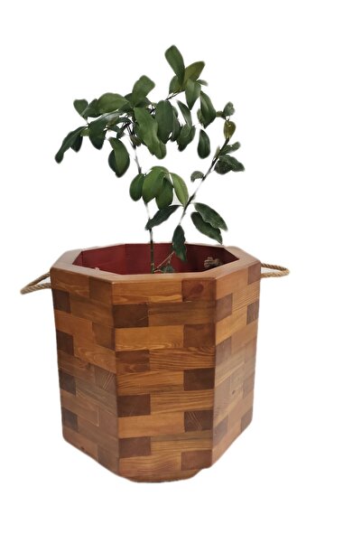 inci mobilya ahşap Ahşap Saksı 8 Köşe 40x40x40cm.