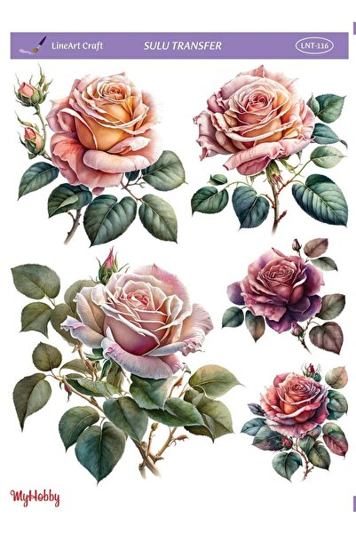 LİNEART Vintage, Gül Desenli Sulu Transfer Lnt-116 25x35
