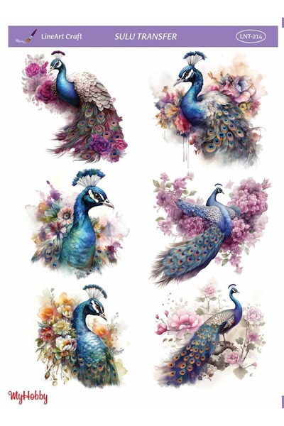 LİNEART Renkli, Tavuskuşu Desenli Sulu Transfer LNT-214 25x35