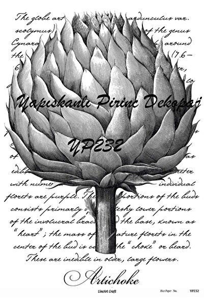 LİNEART Yp232 الخرشوف - ديكوباج نحاسي ذاتي اللصق بنمط Artichoke 29*42