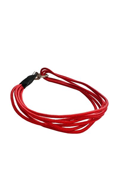 PETSWUU Red Dog Neck Pendant Collar