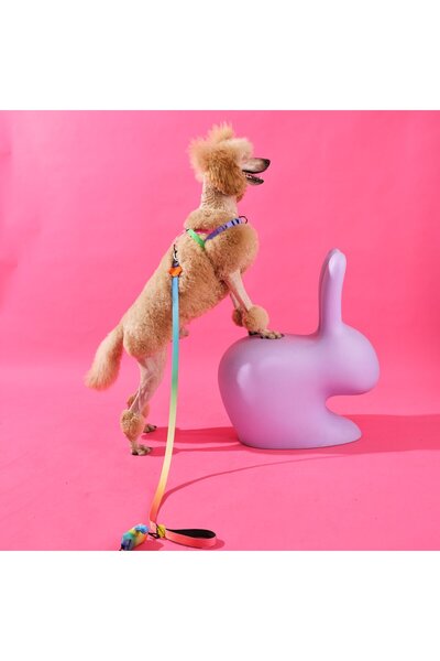 Bunico Gradient / Köpek Gezdirme Tasması