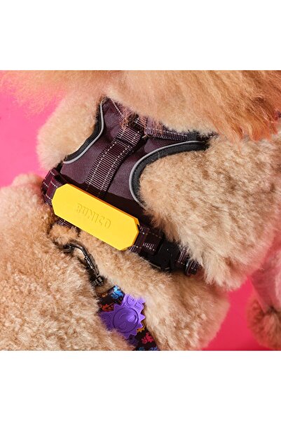 Genel Markalar Reflektörlü Köpek Göğüs Tasması -Siyah