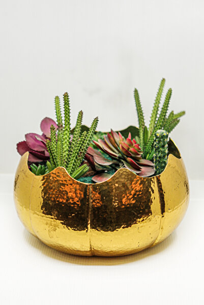 ANTEPSEPETİ Copper Flower Pot - Gold Plated