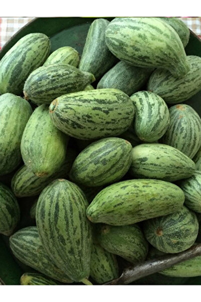 aktarloji +100 Adet Adem Acur Tohumu