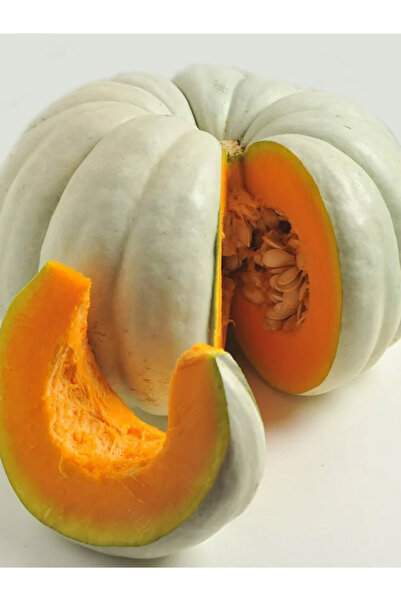 aktarloji +20 Adet Bal Kabağı Tohumu