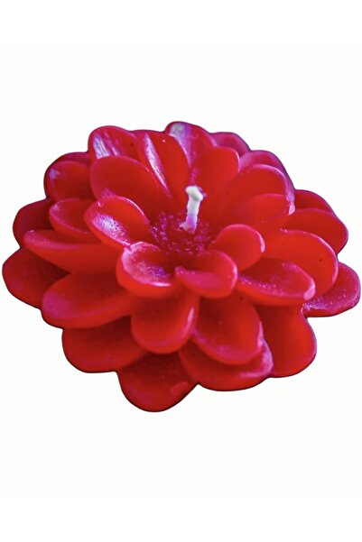morlalem m 6.6cm Dahlia Flower Star Flower Silicone Mold K-1290, Scented Ston...