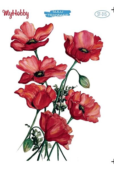 MyHobby St 315 Sulu Transfer 25x35