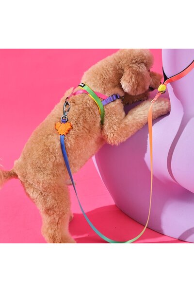 Bunico Gradient / Köpek Gezdirme Tasması