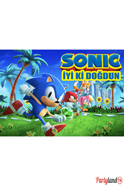 PartylandTR Sonic 33*48 cm Doğum Günü Karton Poster