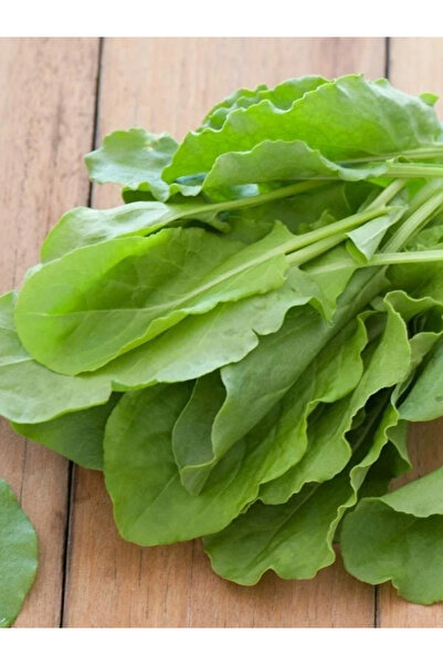 aktarloji +20 Adet Kuzu Kulağı ( Ekşi Otu ) Tohumu