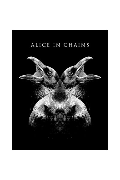 Z zepplin Alice in Chains Holllow Patch mare pe spate