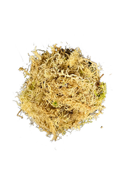 Betonish Sphagnum Yosunu 5 LT