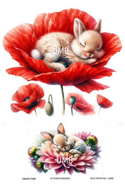 LİNEART Um8 Angel Series - Rabbit and Flower Brass Decopage 30X42