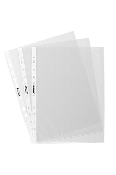 Bigpoint Bag File Standard 40 Micron 500 Pack