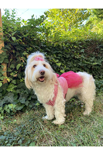 Gobo Pembe Kareli Fiyonklu Tüllü Kedi Köpek Kıyafeti Elbisesi