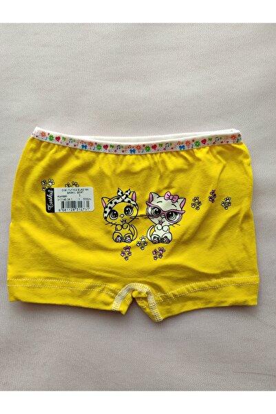 Tutku Kız Çocuk Pamuklu Likralı Boxer 0181 6-Lı