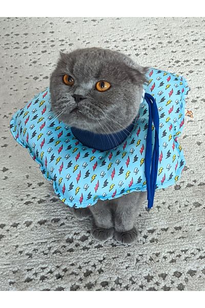 UTDpet Lightning Patterned Cat and Dog Elizabeth Protective Collar