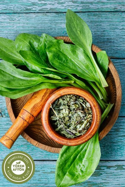 Gülçehre Nerve Herb, Vein Herb {Plantago Lanceolata} Collected from Mountain Skirts of Famous Kars Region |   35g.
