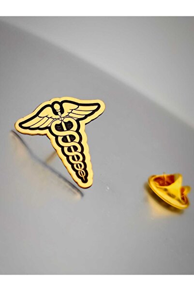 Symbol of Medicine Healer Snake Badge Wrapped in Wand