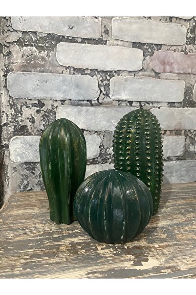 BOYAKAD DEKORATİF 3'LÜ KAKTÜS BİBLO HEYKEL DEKORASYON OBJE EV TASARIMI