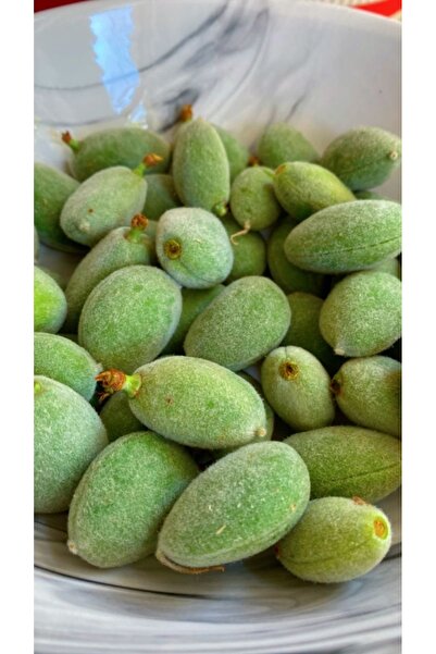 dalından tazecik Çağla Meyvesi ( 250 Gr)