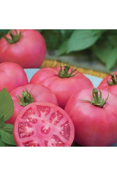 Bilgarden İrina Etli  Kokulu Sırık Pembeı Domates Fidesi (5 adet)