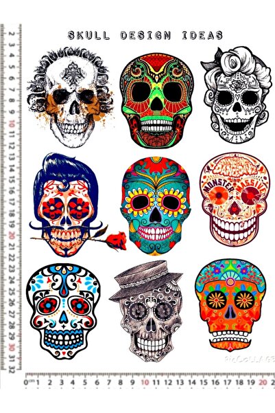 Phoenix KURU KAFA ÇEŞİTLERİ MOTORSİKLET KASK LEPTOP DOLAP TELEFON ARKASI STİC...