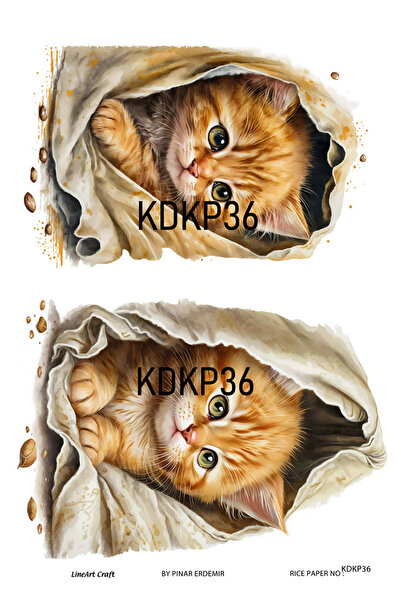 LİNEART Kedi Köpek Serisi KDKP36 Desenli Pirinç Dekopaj 30x42