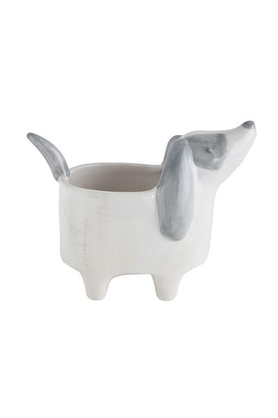 Warm Design Dog Flower Pot - Comfortable Cut