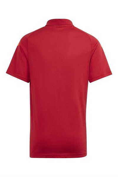 adidas Tıro24 C Men's Polo Collar T-Shirt - Ir7563