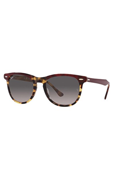 Ray-Ban Rb2398 1377m3 53 Polarize Unisex Güneş Gözlüğü