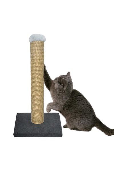Patiderm Cat Scratch Board Wicker 60cm - Mixed Color