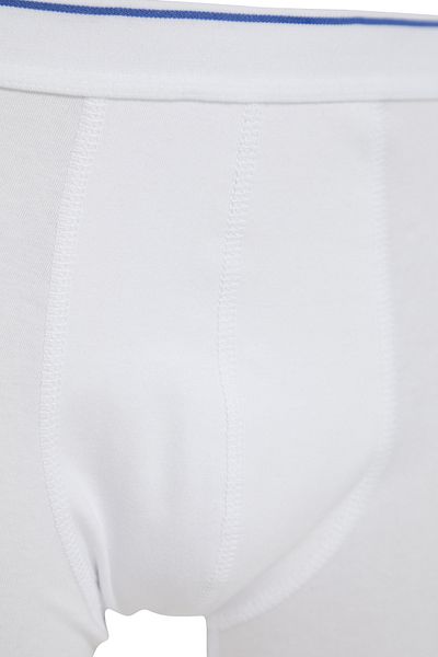 Trendyol Collection Pack of 5 White Cotton Boxers - Multicolor, TMNAW21BX0018
