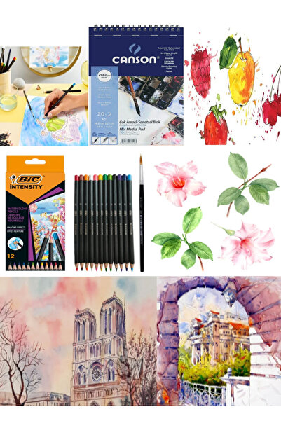 arttone Bic Intensity Aquarelle Dry-watercolor Pen 12 Colors Canson Painting ...