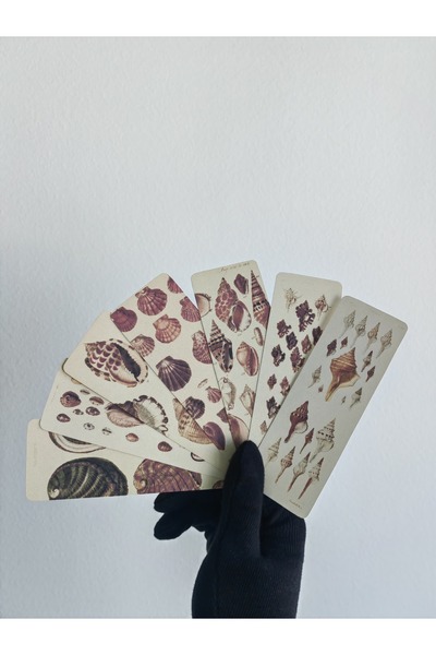 Seashell Rio علامات كتاب صدفة البحر / 7 قطع