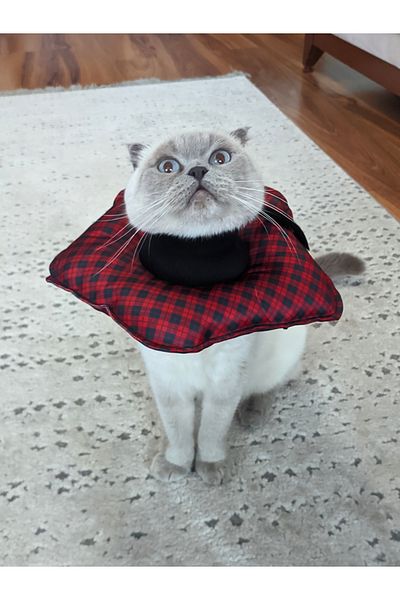 UTDpet Stylish Patterned Cat and Dog Elizabeth Protective Collar