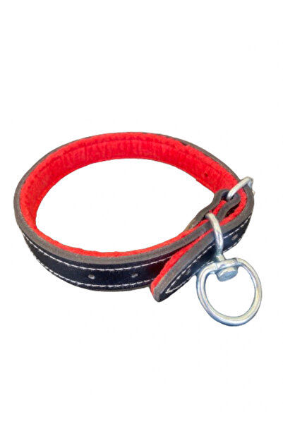Sürmeli Tasma 56 Cm Leather Puppy Collar - Hunting and Wolf Dog