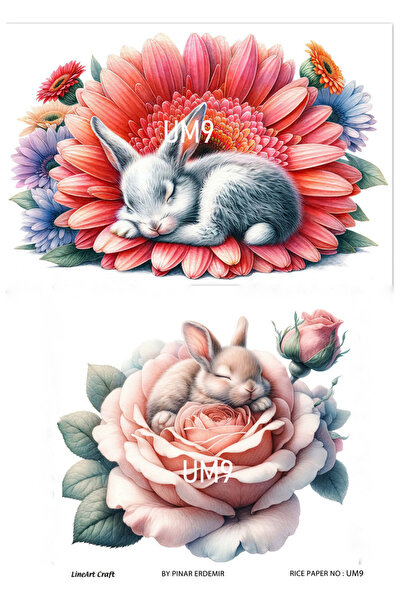 LİNEART نموذج UM9 زخرفة نحاسية بنمط الأرنب والزهور 30x42