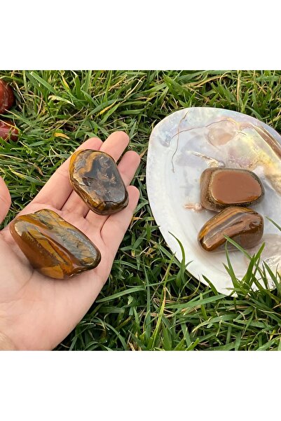Elifsu Jewelry Kaplan Gözü Taşı Büyük Tamburlanmış
