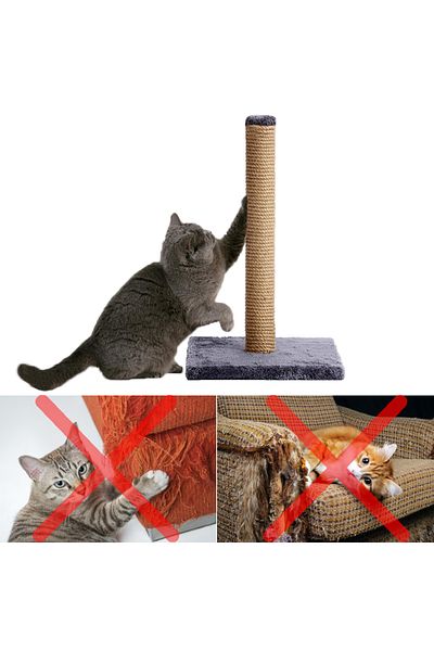 Patiderm Cat Scratch Board Wicker 40cm - Mixed Color