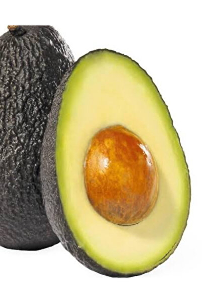 Elit ELİT HASS AVOKADO 1 kg