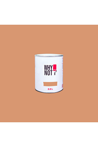 WHY NOT Peachy Bronz - Duvar Boyası
