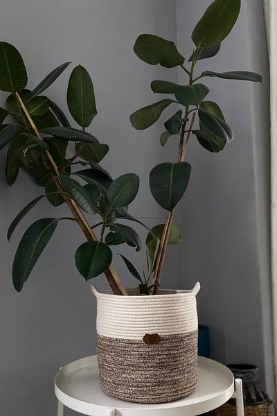 MISS JULİ Multi-Purpose Decorative Flower Pot with Handle, Bathroom, Towel Basket, Organizer 22X23 cm