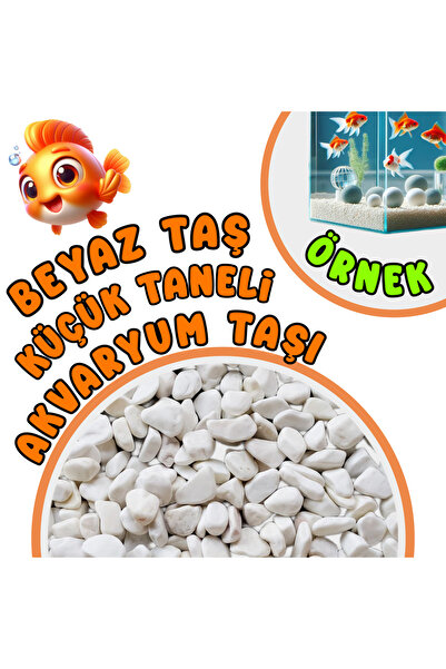 Akvaryum Beyaz Taş Akvaryum Taşı Beyaz Akvaryum Taşı Dekor Akvaryum Taşı MDiz...